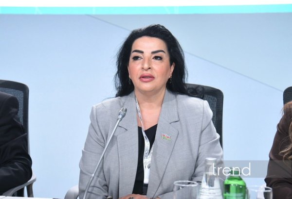 Karabakh smart cities demonstrate Azerbaijan’s sustainable dev't model, MP says