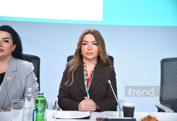 Azerbaijan’s green energy zones in liberated territories show systemic approach — official