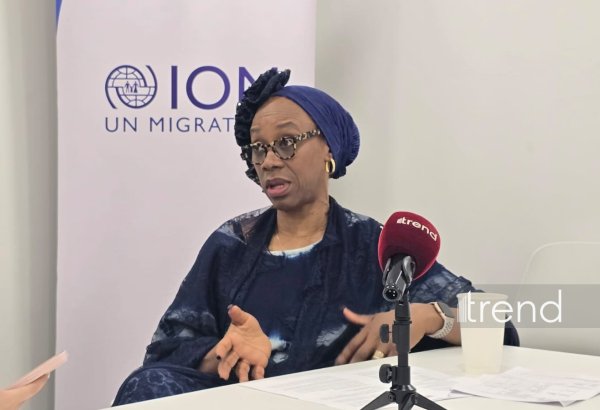 IOM working with Azerbaijan on linking housing with livelihoods - Deputy Director-General (Exclusive interview)