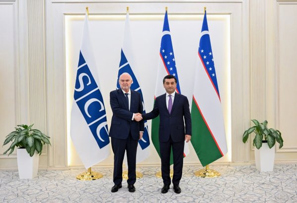 Uzbekistan, OSCE discuss expanded cooperation on regional stability and reform