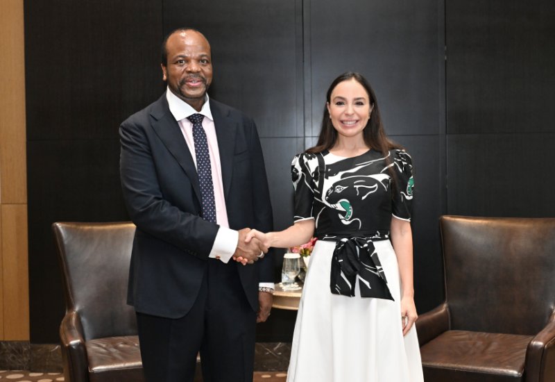 Leyla Aliyeva meets with King Mswati III of Eswatini (PHOTO)