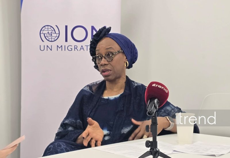 IOM working with Azerbaijan on linking housing with livelihoods - Deputy Director-General (Exclusive interview)