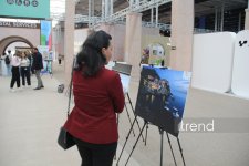 WUF13 in Baku: Forum of future cities turned into hub for art and culture (PHOTO)