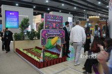 WUF13 in Baku: Forum of future cities turned into hub for art and culture (PHOTO)