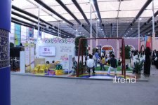 WUF13 in Baku: Forum of future cities turned into hub for art and culture (PHOTO)