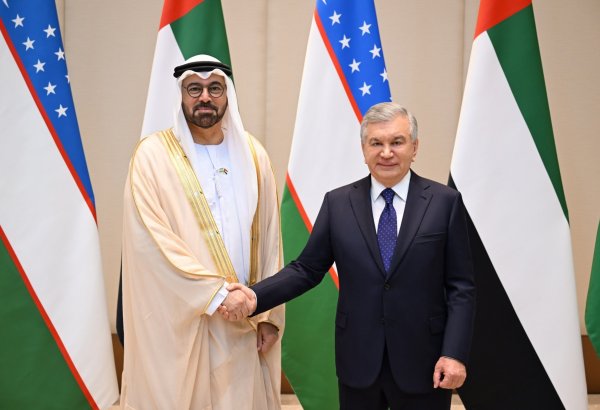 Uzbekistan, UAE step up public sector optimization and AI deployment