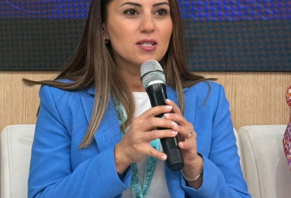 Women act as leaders of reconstruction, peacebuilding and social resilience - Sevinj Fataliyeva