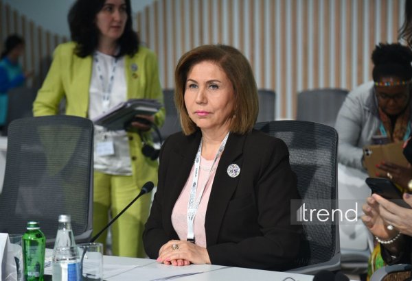 Azerbaijani official highlights housing as key pillar of social inclusion and safety