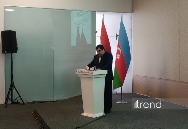 Tajikistan and Azerbaijan strengthen economic and investment cooperation - deputy minister