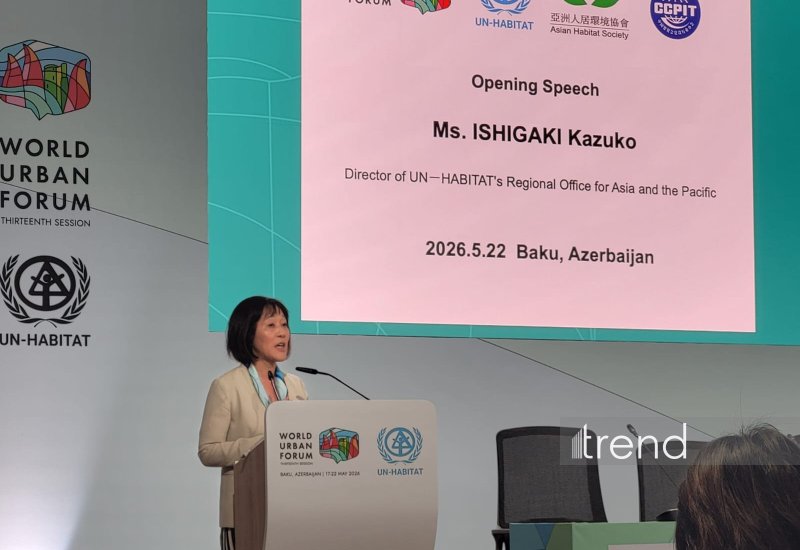 UN-Habitat calls for integrated housing and urban planning approaches at WUF13