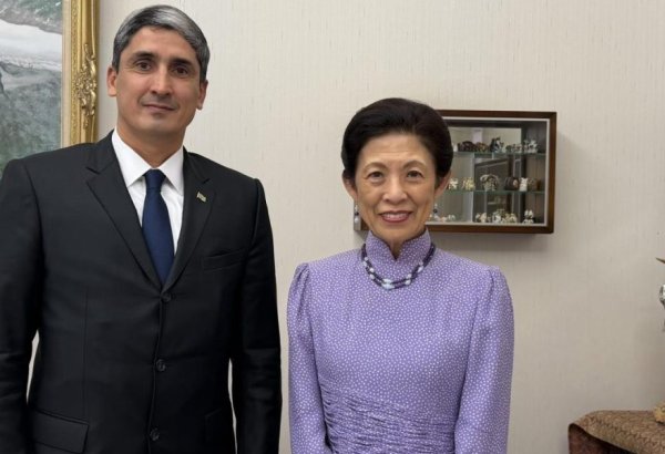 Turkmenistan, Japan discuss environmental protection and green energy