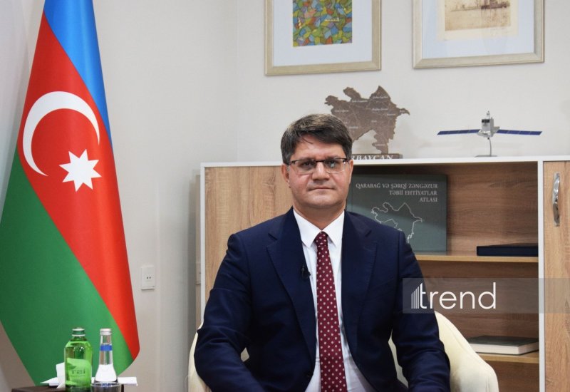 Azerbaijan to introduce AI-based forest monitoring system - minister (Interview)