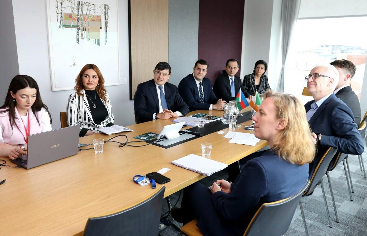 Azerbaijan, Ireland discuss strengthening ties between diasporas (PHOTO)