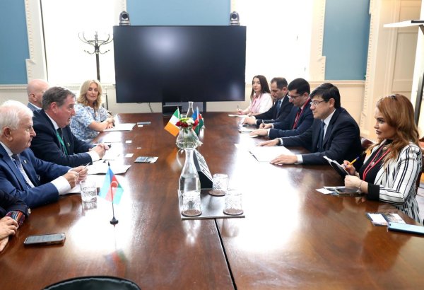 Azerbaijan, Ireland discuss strengthening ties between diasporas (PHOTO)