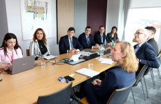 Azerbaijan, Ireland discuss strengthening ties between diasporas (PHOTO)
