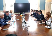 Azerbaijan, Ireland discuss strengthening ties between diasporas (PHOTO)