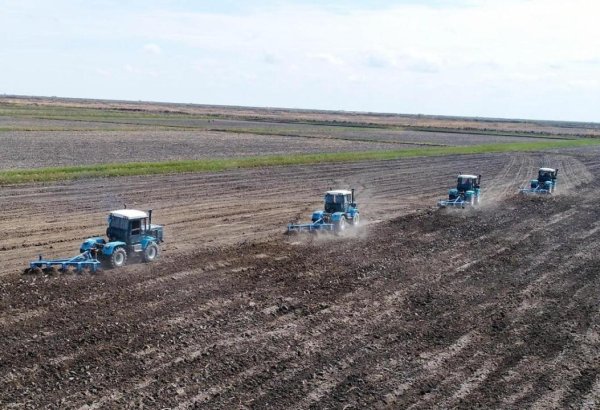 Kazakhstan reports total area of sown agricultural land
