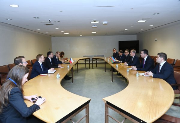 Azerbaijan, Czech Republic exchange views on regional and international issues (PHOTO)