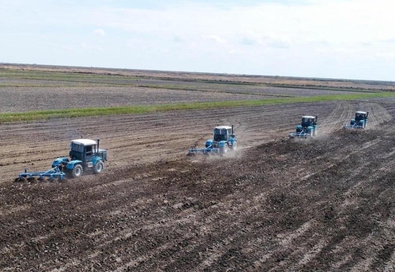 Iran's Kermanshah Province sets record in agricultural production