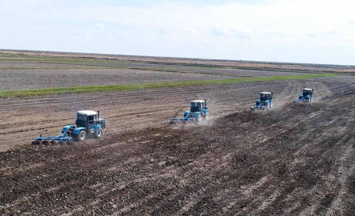 Kazakhstan reports total area of sown agricultural land