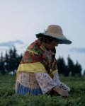 Leyla Aliyeva visits "Yashil Chay" farm in Lankaran (PHOTO)