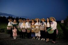 Leyla Aliyeva visits "Yashil Chay" farm in Lankaran (PHOTO)