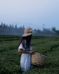Leyla Aliyeva visits "Yashil Chay" farm in Lankaran (PHOTO)