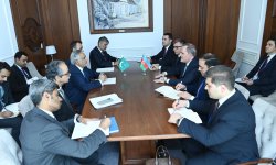 Azerbaijan and Pakistan discuss strengthening strategic cooperation (PHOTO)