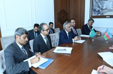 Azerbaijan and Pakistan discuss strengthening strategic cooperation (PHOTO)