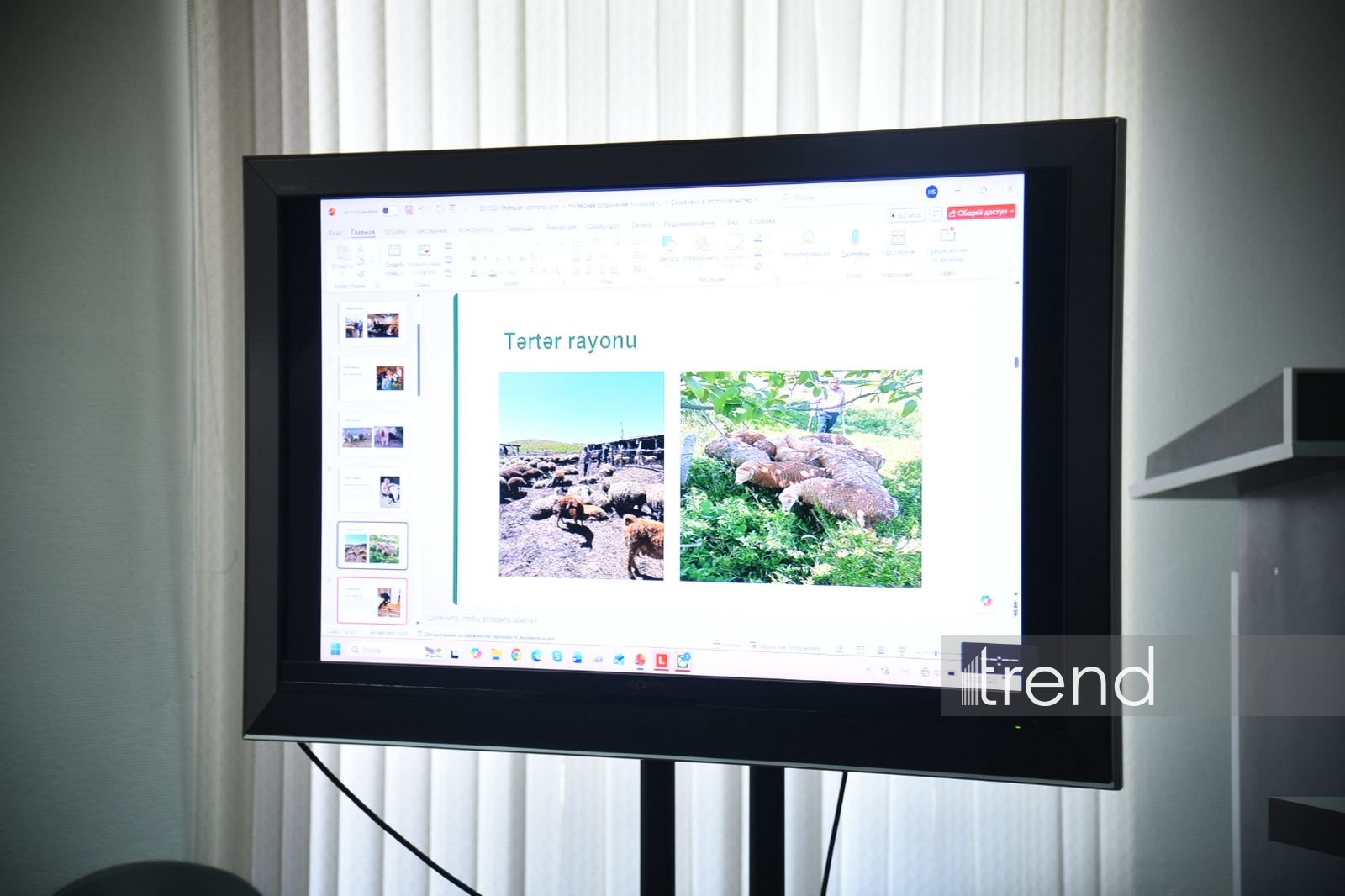 Baku hosts event on economic empowerment for landmine survivors (PHOTO)
