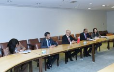 Azerbaijani FM discuss cooperation within UN with his Bahraini counterpart (PHOTO)