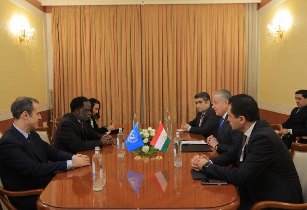 Tajikistan, UN University discuss expanding academic cooperation