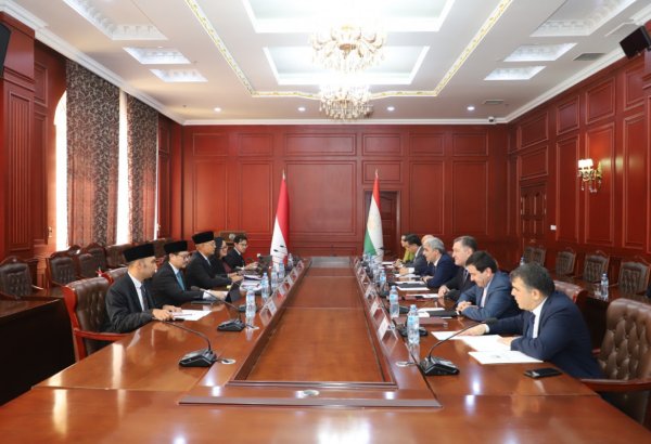 Tajikistan, Indonesia discuss expansion of bilateral cooperation