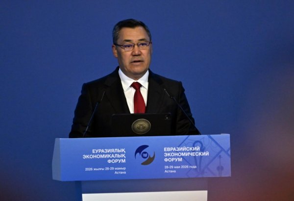 Kyrgyzstan proposes to create shared AI capacities and data centers for EAEU countries