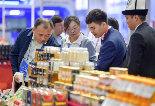 Wholesale trade growth accelerates only in four Uzbekistan regions in 3M2026