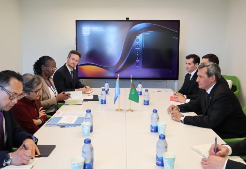 Turkmenistan, UN discuss climate, energy and digital cooperation for landlocked nations