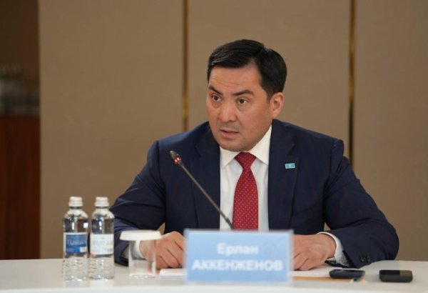 Kazakhstan prioritizes stable domestic energy supply in EAEU talks