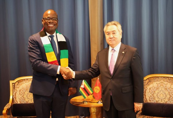 Kyrgyzstan, Zimbabwe discuss deeper political and multilateral cooperation