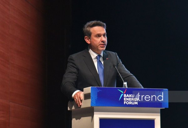 Türkiye plans large-scale modernization of its green power grid - minister