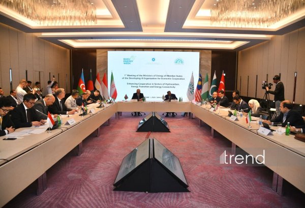 Baku hosts 1st meeting of D-8 energy ministers (PHOTO)