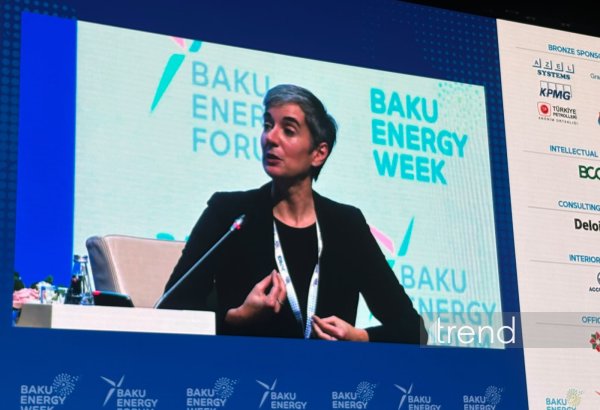 World Bank warns of energy security gaps in renewable-rich Central Asia