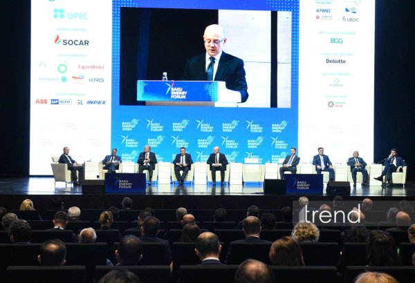 Azerbaijan targets 43% renewable energy share by 2035 - minister