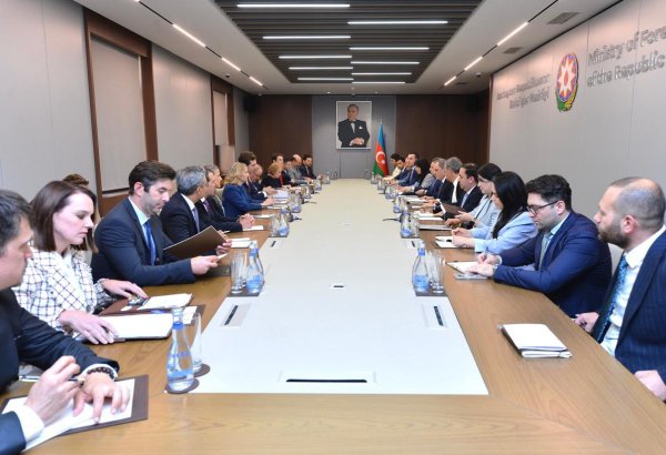 Azerbaijan’s FM, U.S. Assistant Secretary of State discuss energy security issues (PHOTO)