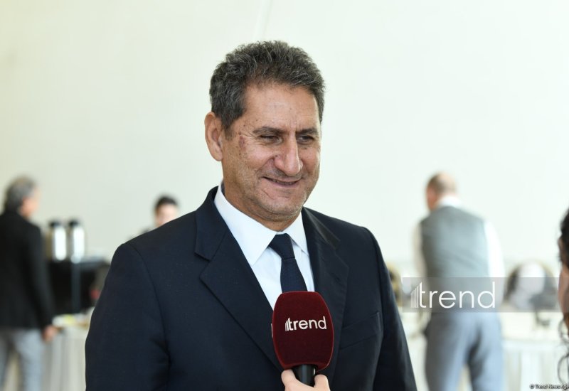 IRENA chief: New energy system increasingly dominated by renewables, hydrogen and biomass (Exclusive interview)
