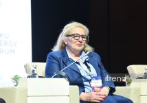 31st Baku Energy Forum kicks off (PHOTO)