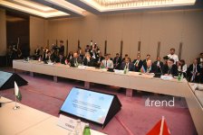 Baku hosts 1st meeting of D-8 energy ministers (PHOTO)