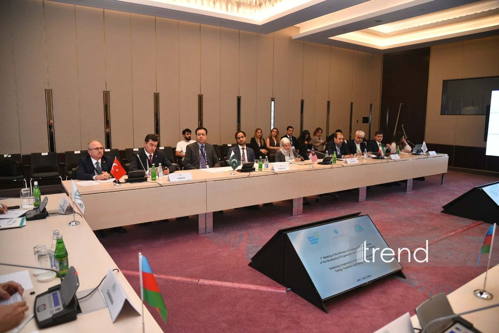Baku hosts 1st meeting of D-8 energy ministers (PHOTO)