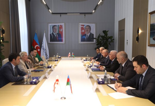 Azerbaijan and Georgia weigh up development prospects for energy cooperation