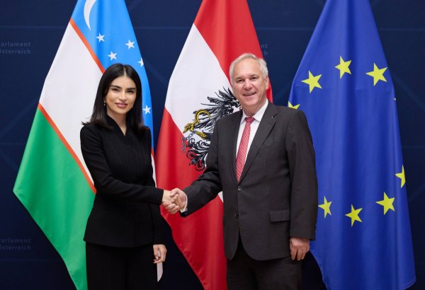 Uzbekistan, Austria discuss expanding bilateral cooperation and reform agenda