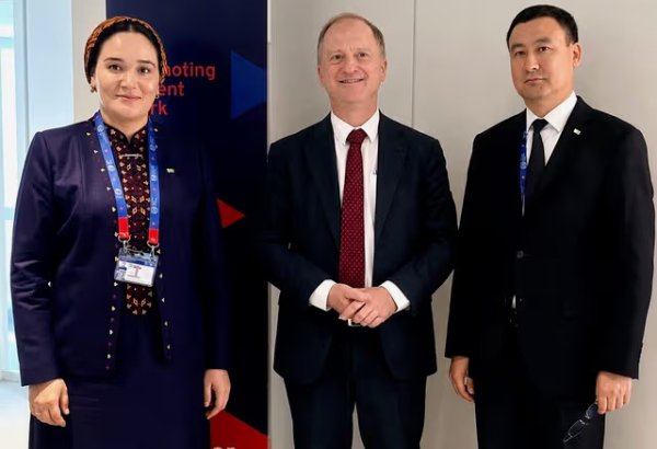 Turkmenistan, ILO discuss labor reforms and cooperation roadmap